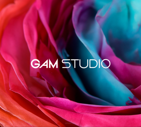 GAM Studio